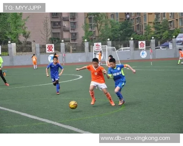 战火中的绿茵梦追寻希望与团结的足球故事 战火中的绿茵梦追寻希望与团结的足球故事